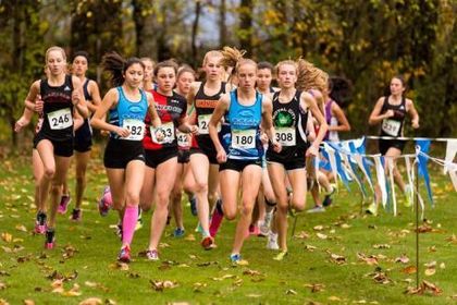 BC Cross Country Championships and XC Season Key Info