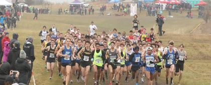 Canadian Cross Country Championships
