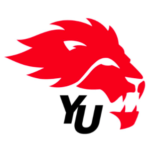 Job Opportunity: Director, Athletics – York University